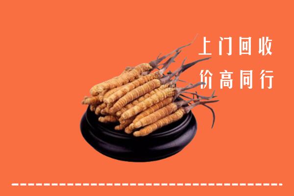 高价求购：重庆大足回收散虫草