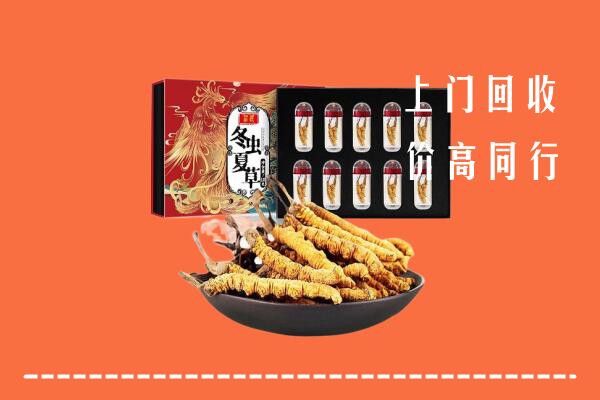 重庆大足回收虫草